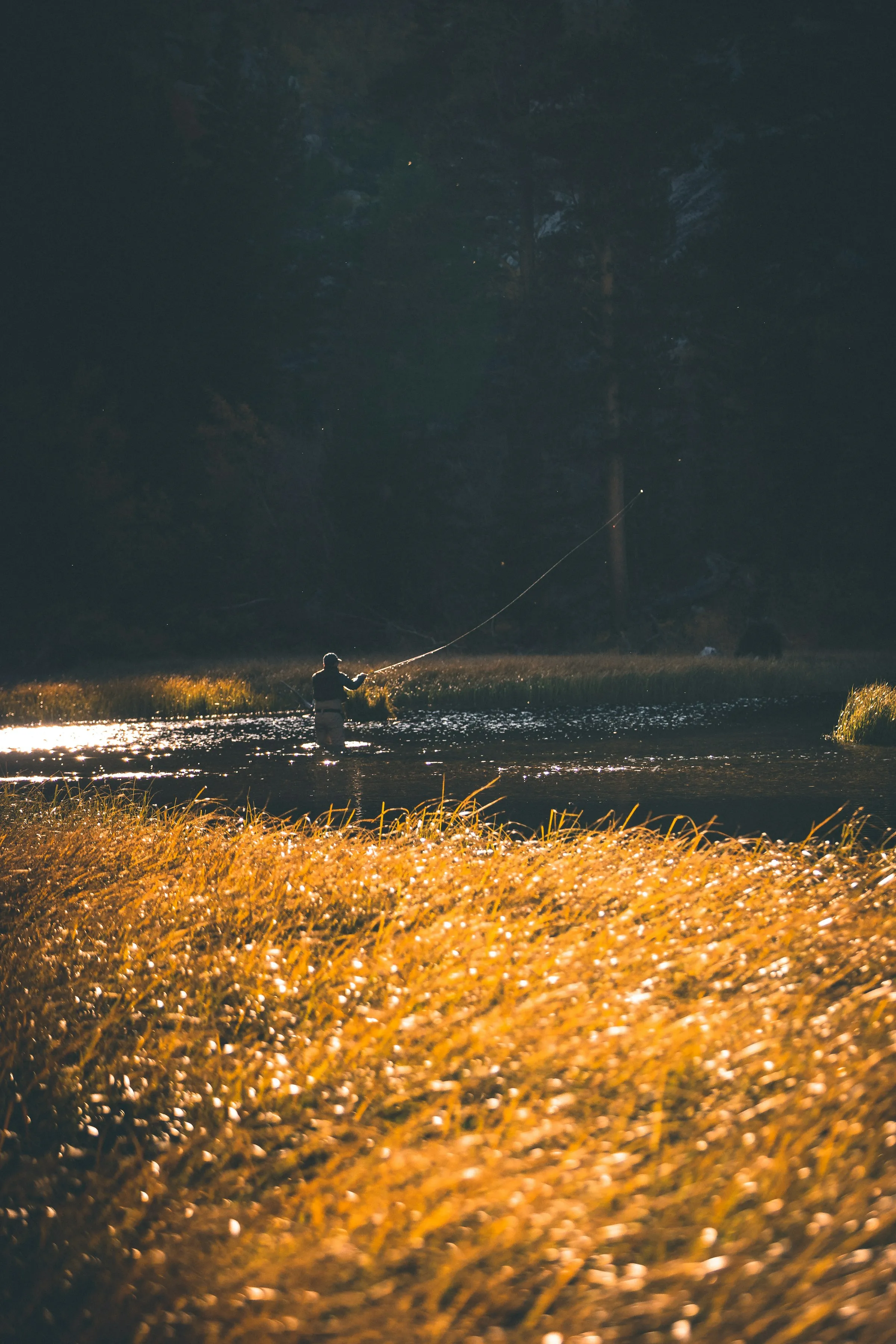 Fly fisherman casting on a misty lake at dawn